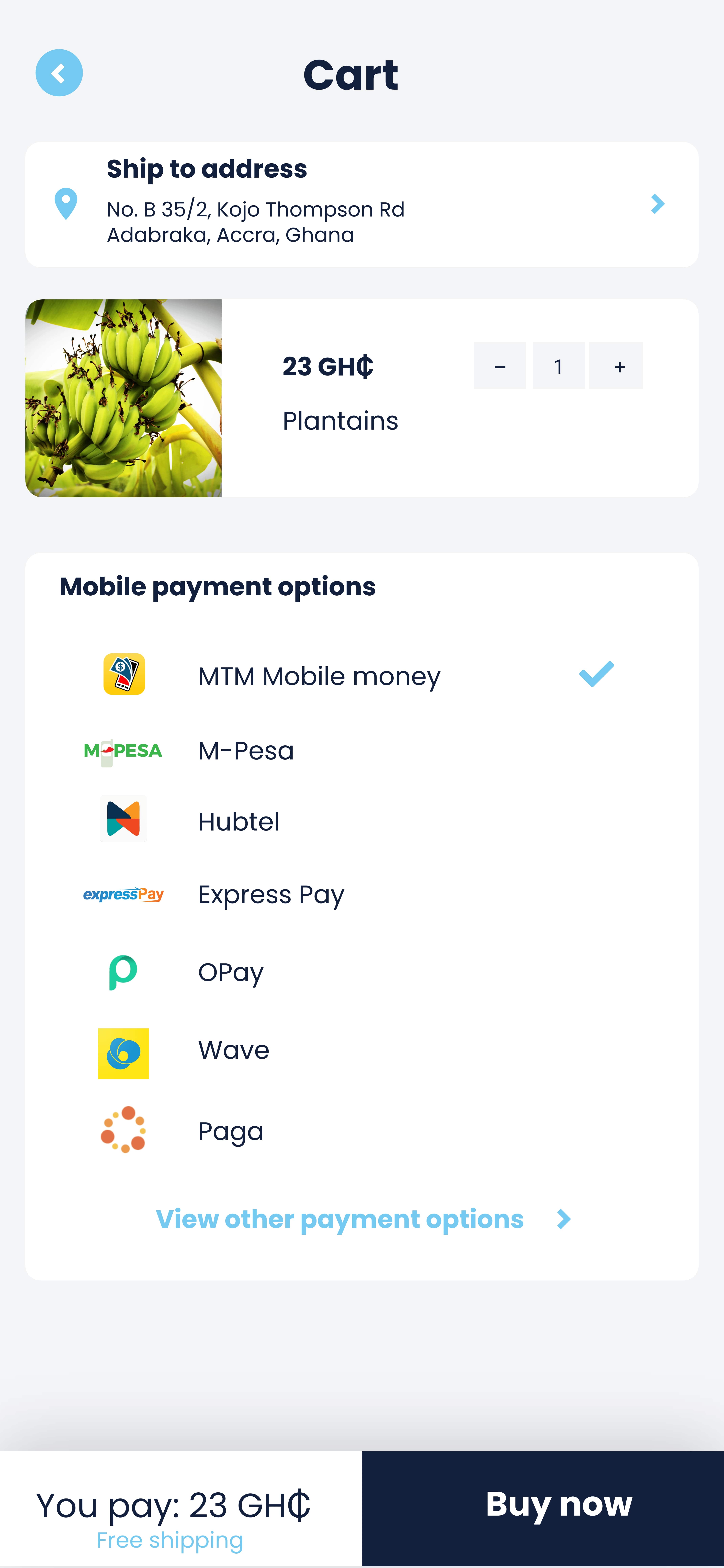 Payment-option-1