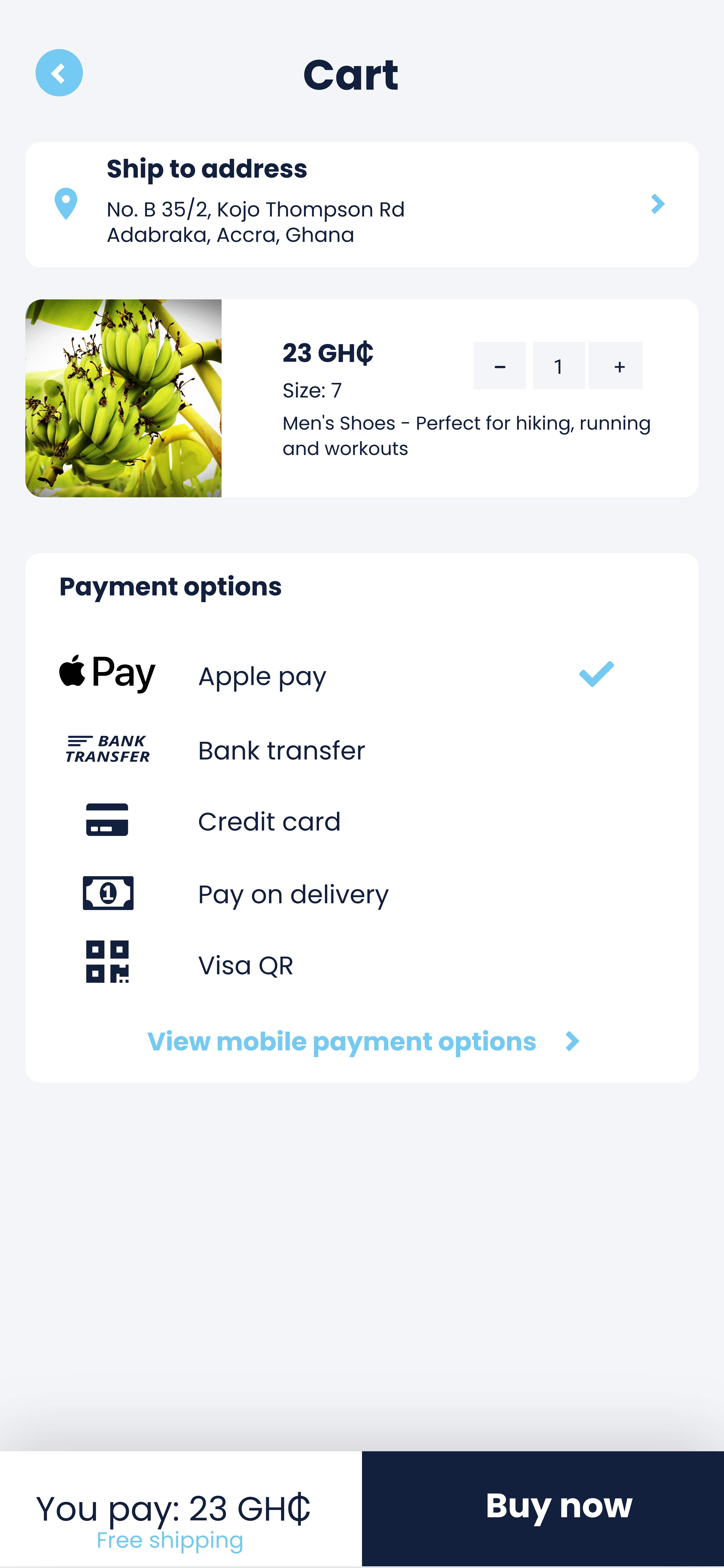 Payment-option-2